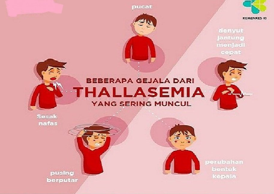 Adalah penyakit thalassemia